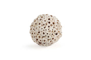 Boho Decor Sola Wood Ata Balls Set of 6 - Dia 10 inch